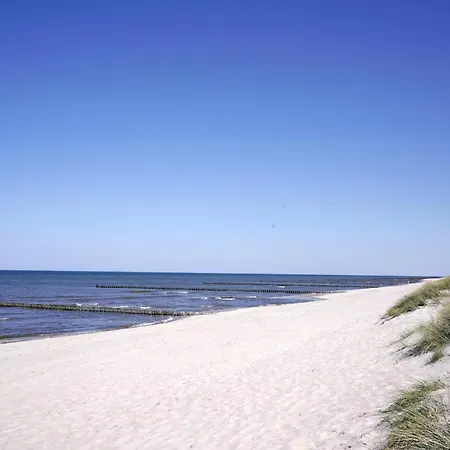 Achtern Diek 12b - 1 Appartamento Zingst